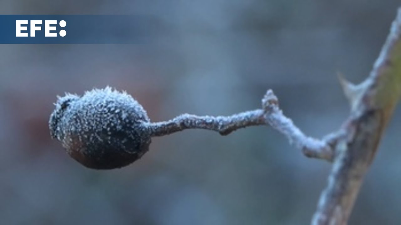 Tiempo gélido, hasta 10º bajo cero, pone en aviso 12 comunidades, Castilla y León en naranja