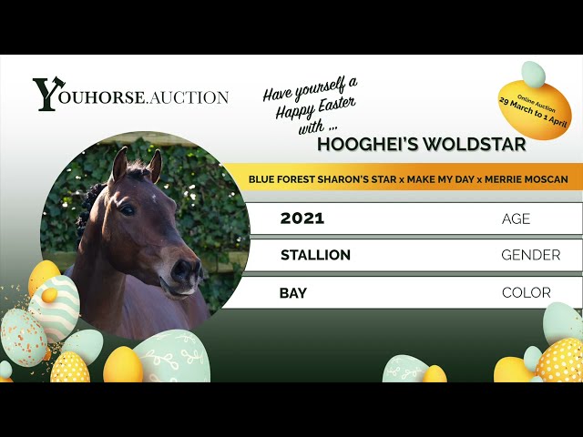 Hooghei’s Woldstar