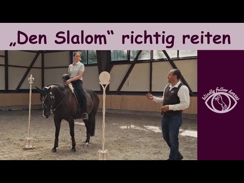 Teil 3 Working Equitation Hindernisse: "Der Slalom" ❤ feat. Signum Sattelservice
