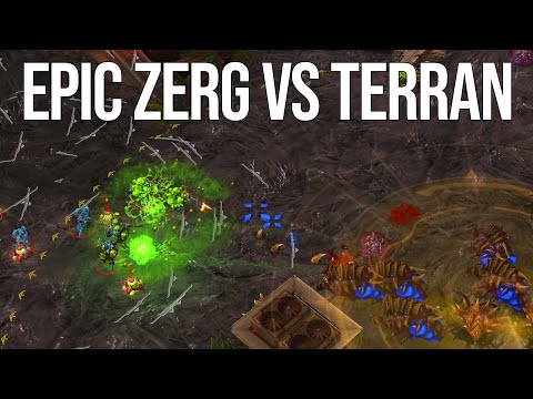 Young Prodigies Grind In this EPIC Zerg vs Terran | CuKu (T) vs Mixu (Z)