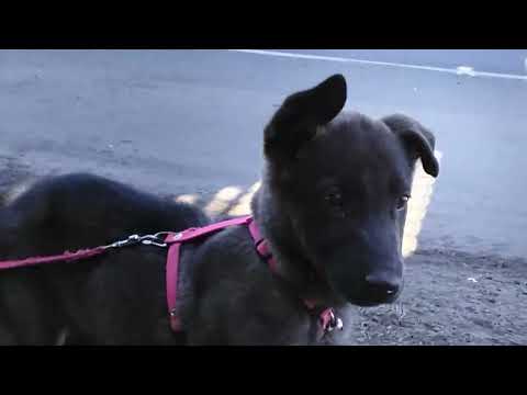 7 de diciembre de 2025