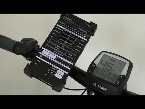 RedPed 3 - Gesamtkilometer und Nachlauf