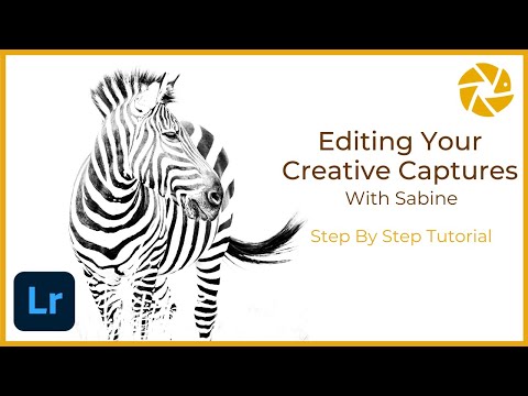 Editing your CREATIVE Wildlife Photography Images with Sabine on Adobe Lightroom.
