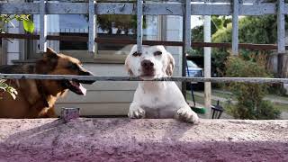 Donna Regina – Nothing Heavy