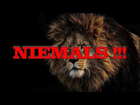 RAPBELLIONS - GENERALSTREIK