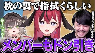 【#LTK】噂のベトチキをバラされチームのみんなにドン引きされる昏昏アリア【League of Legends】