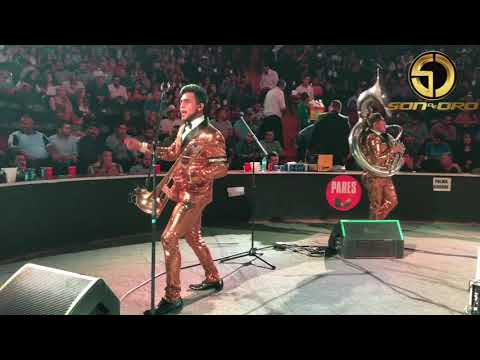 Son de Oro en el Palenque de los Grandes 2018