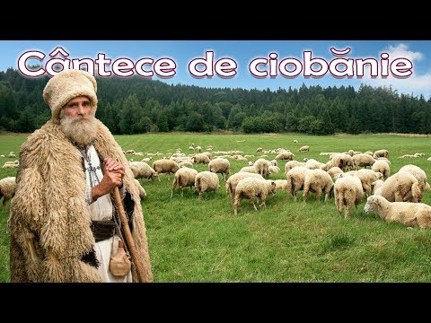 Sunt cioban cu multe oi - Colaj jiene si cantece de pastorit