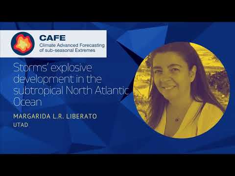 Storms’ explosive development in the subtropical North Atlantic Ocean