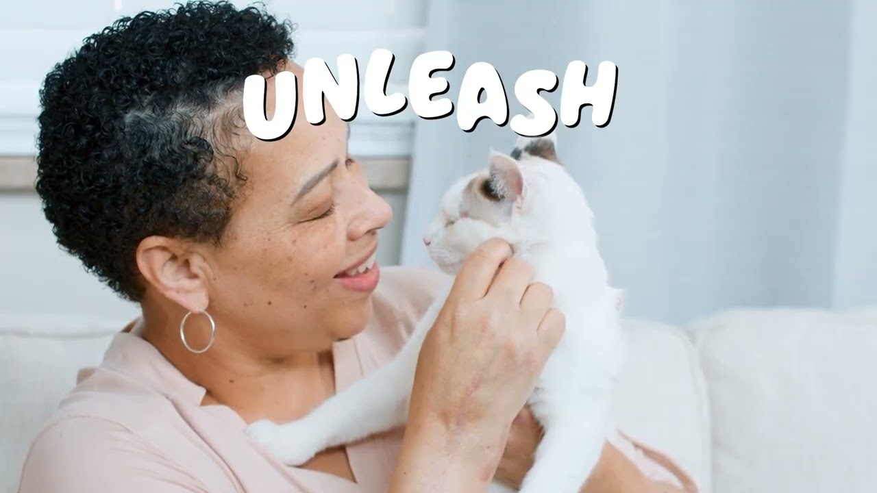 PetSafe 公式動画