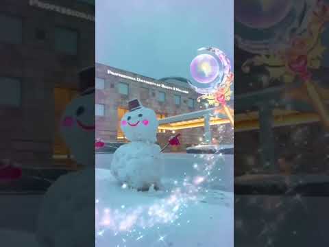 【関東地方で大雪！】雪だるまをつくってみた。#雪 #雪だるま #冬