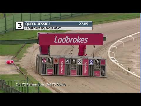 2020 LADBROKES GOLD CUP - HEAT 3 - T3 QUEEN JESSIEJ