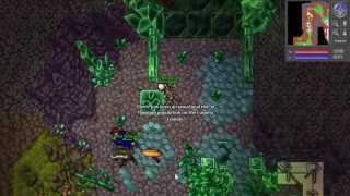 Tibia: Bigfoot's Burden Quest - Parte 1 - Recruitment
