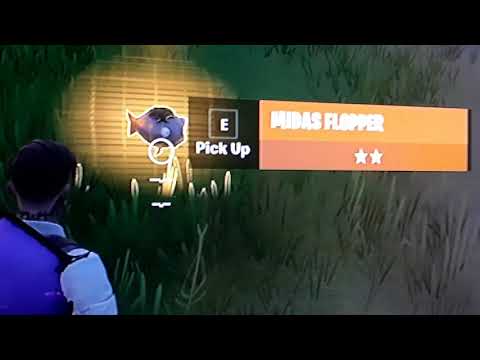 sain midas flopperin!!