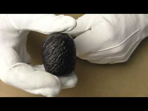 Dunhill Shell Briar 4201 - pipe E506