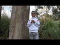 ALZATE DEVUELVEME LA VIDA VIDEOCLIP ALZATE DEVUELVEME LA VIDA VIDEOCLIP