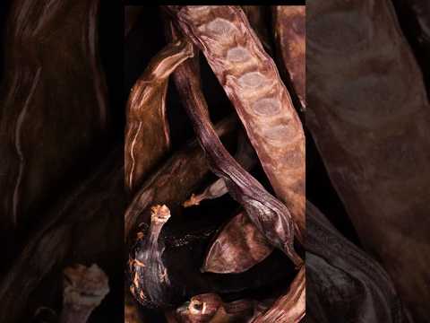 5 Health Benefits of Carob