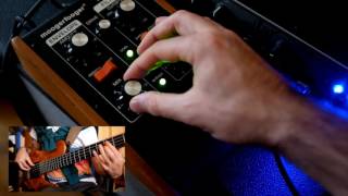 Moog Mf-101 Low Pass Filter Bass Guitar