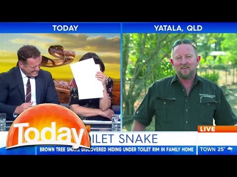 捕蛇達人馬桶奇遇記！主持人笑到不行！😂 (Snake catcher's toilet story has TV hosts in stitches)