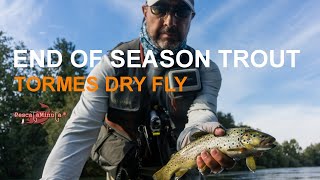 End of season trout - Tormes
