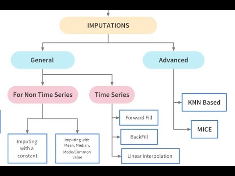 Missing Value Imputation and Encoding Techniques