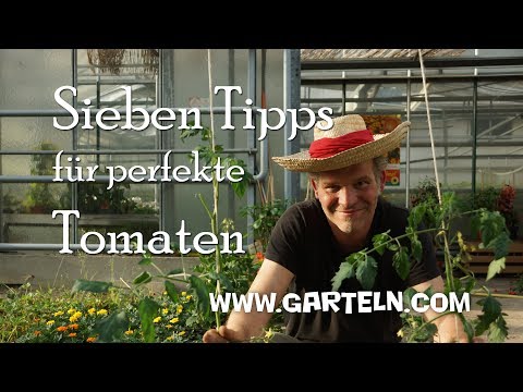, title : 'Tomaten pflanzen - Sieben Tipps für perfekte Tomaten 🍅 in eurem Garten und auf dem Balkon'