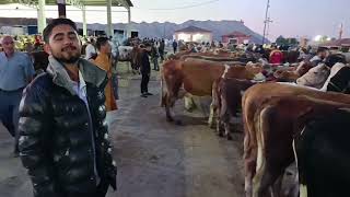 #YOZGAT #SORGUN HAYVAN PAZARI .!!! 02 TEMMUZ 1. bölüm Satan çok alan y
