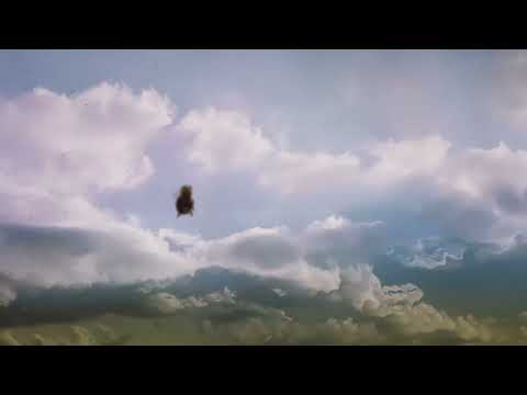 POND - Black Lung (Official Audio)