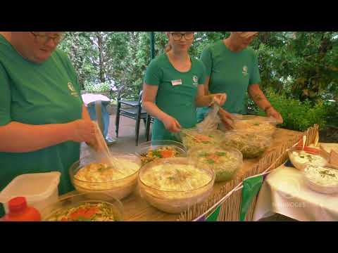 Ameise Ahoi! Unser Städtisches Pflegeheim feiert den Sommer