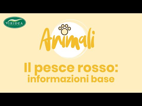 La crema di Vichy da pigmentary nota risposte Il pigmentary nota su ragione occhi