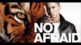 Eye of the Tiger (Eminem - Not Afraid Remix)