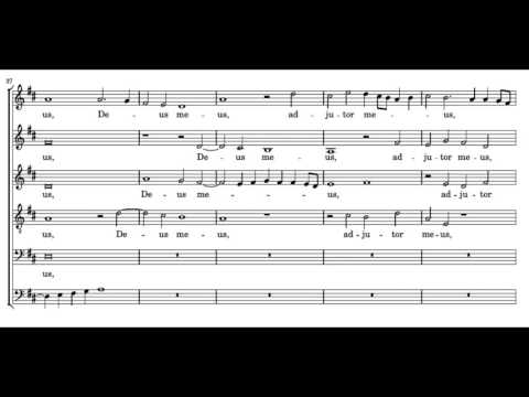 Lassus: Diligam te Domine - Herreweghe
