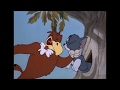 Tom And Jerry 21 Episode Flirty Birdy 1945