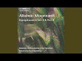 Symphony No. 1 in C Minor, Op. 4: IV. Molto energico - Meno mosso - Premier Tempo - Largo