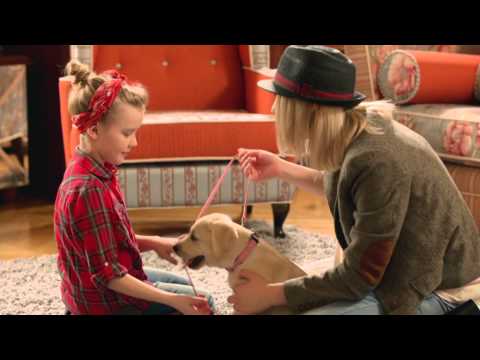 Szkoła Księżniczek: Bądź miłośniczką zwierząt jak Kopciuszek!