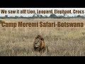 Camp Moremi Safari Experience Botswana Okavango Delta Africa Part 4