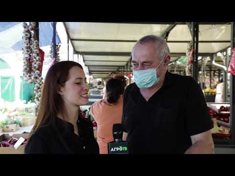 Ceger ep. 382 18.09.2020.