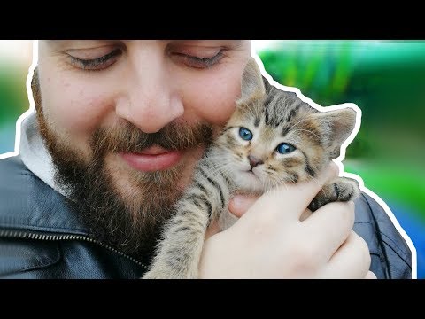 HO PRESO UN CUCCIOLO: Il mio nuovo gattino!