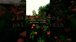 Download lagu lagu minang paling sedih tangih mandeh #vidio shorts mp3