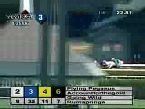 Discreet Cat Allowance Win