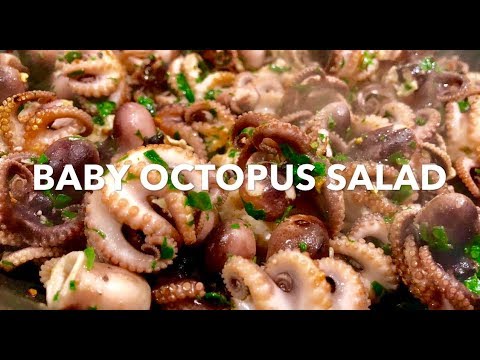 download lagu mp3 mp4 Baby Octopus Salad, download lagu Baby Octopus Salad gratis, unduh video klip Baby Octopus Salad