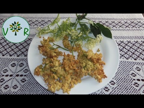 Beignets de fleurs de sureau | Vegan - Sambucus nigra -