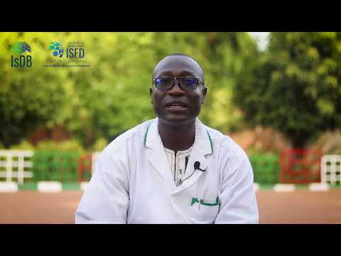 New Humanity Annual Review