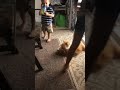 Malakai spitting on Cheddar