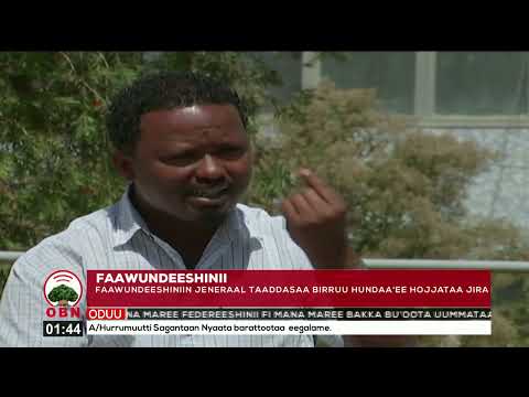 Jeneraal Taaddasaa Birruu