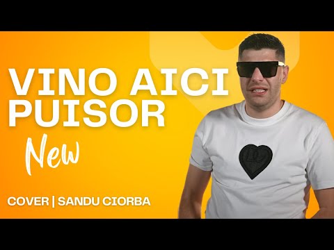 Nicu Guta - VINO AICI PUISOR ❤️ | Cover Sandu Ciorba By @viper-production