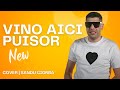Nicu Guta VINO AICI PUISOR ️ Cover Sandu Ciorba By Viper Production