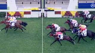 (Horse Racing) Express Win vs Collection