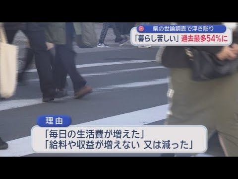 YouTube Video 物価高の影響か…県民の54%が「生活が苦しくなった」　調査開始以来最悪の結果に　静岡県