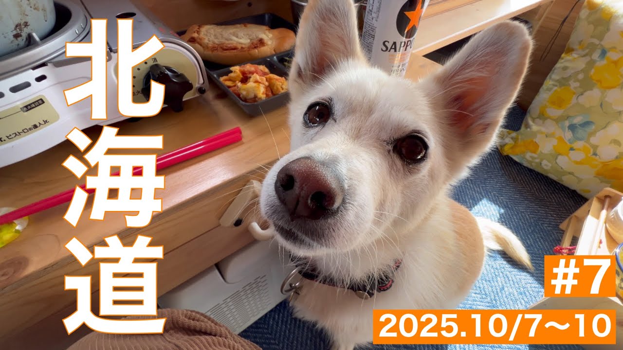 【63歳ワンコと北海道#7】気の赴くまま自由に旅を続ける私とハナ